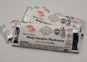 90mg Amanita Chocolate
