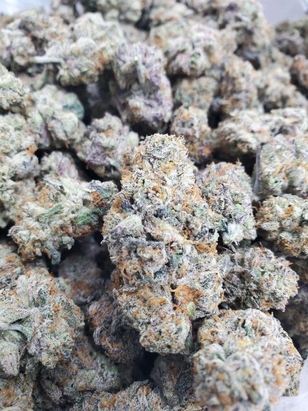 Lobster Butter THCa Flower (Indoor)