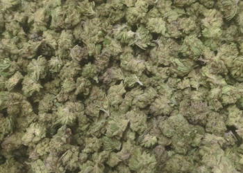 Glitter Bomb THCa Hemp Flower – Smalls