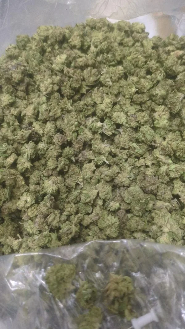 Glitter Bomb THCa Hemp Flower - Smalls