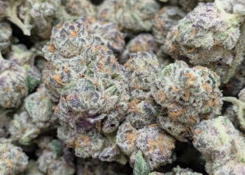 Cookies THCa Hemp Flower